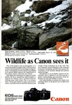 Canon Eos 620 650 Autofocus Cameras Snow Leopard Original Vintage Print Ad. Fixed Price $10.35.