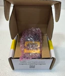 Cognex IS2000M-111-40-S14-B Camera. Fixed Price $1800.00.