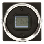 Used Point Grey FLEA2 FL2-14S3C Industrial Camera. Fixed Price $835.95.